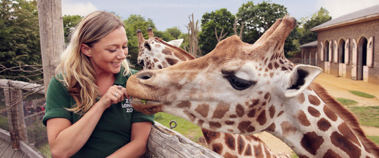 Zoo Experience Days - Safari Experiences | Virgin Experience Days