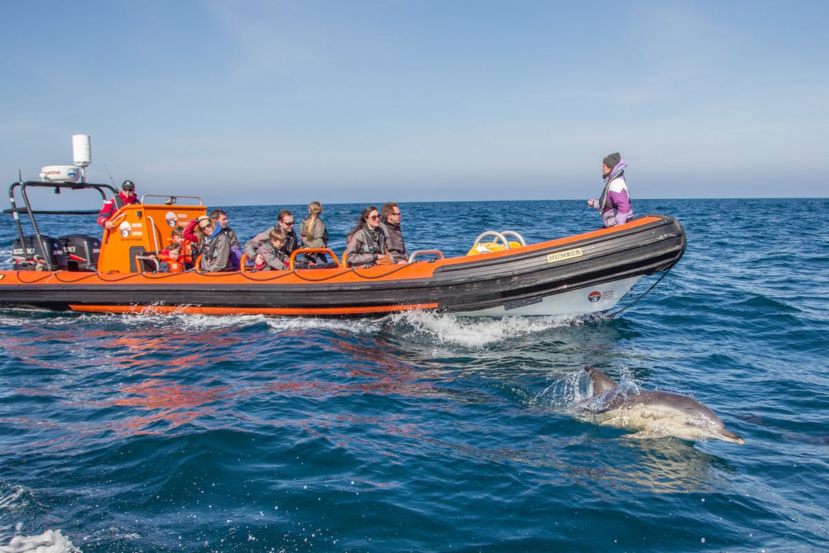 2 Hour Sealife Safari Boat Trip for Two Adults and Two Children