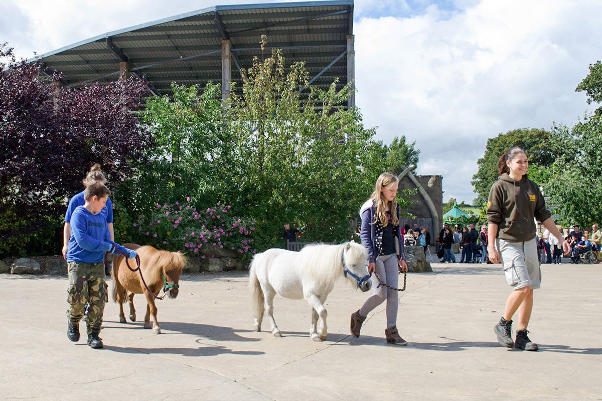 Be a Zoo Keeper for the Day at Flamingo Land Zoo | Virgin Experience Days