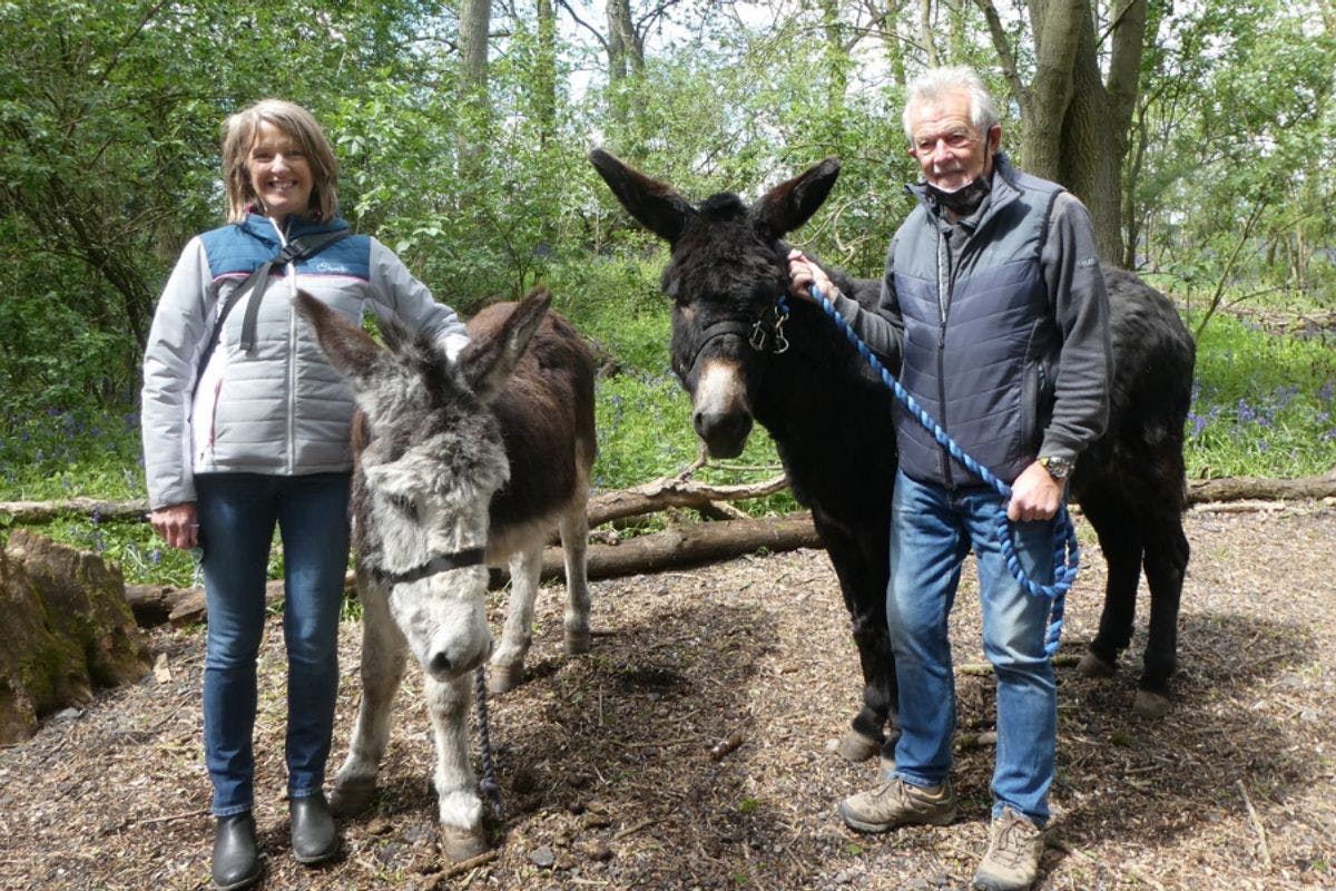 Donkey Walk for Two at Charnwood Forest