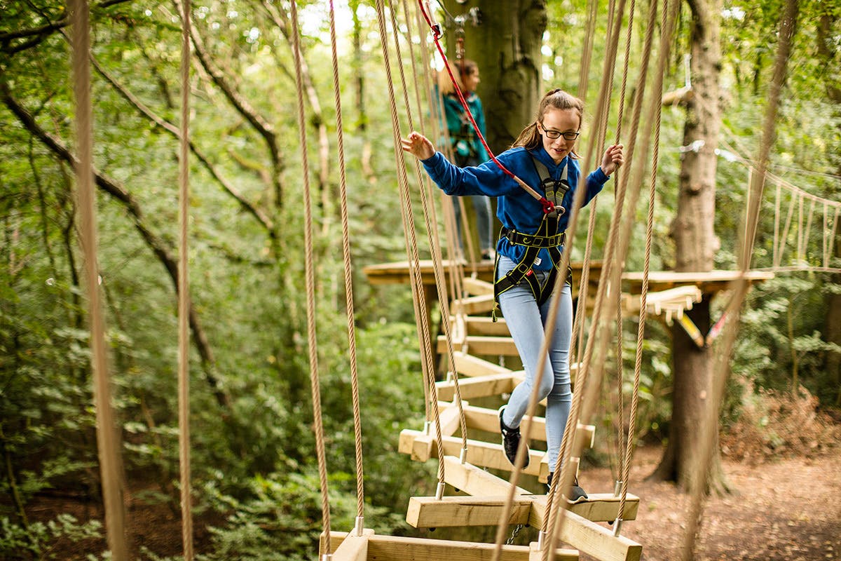 Full High Ropes Treetop Zip Trek and Nets Experience