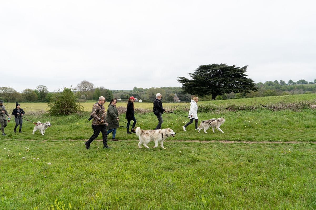 hiking with huskies