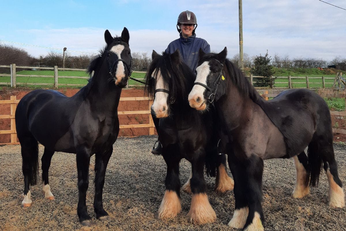 Horse Riding Lessons for Two at Charnwood Forest