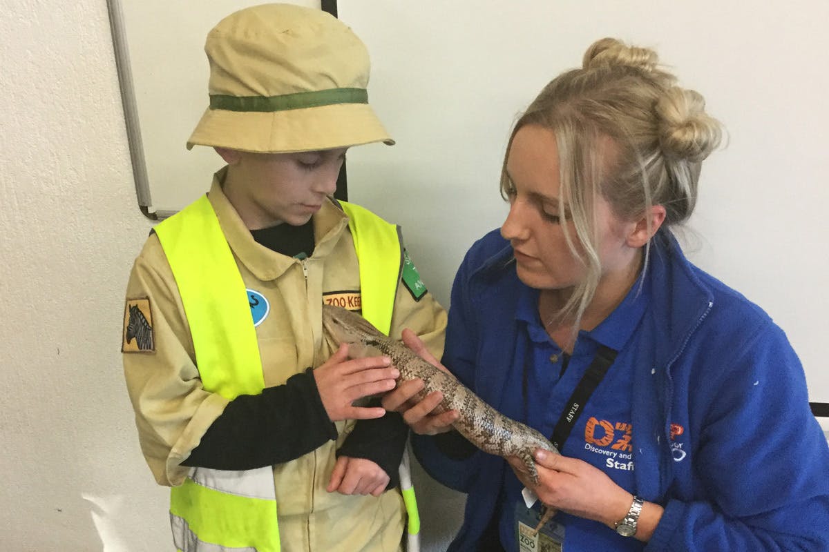 Junior Keeper for the Day for Two at Dartmoor Zoo