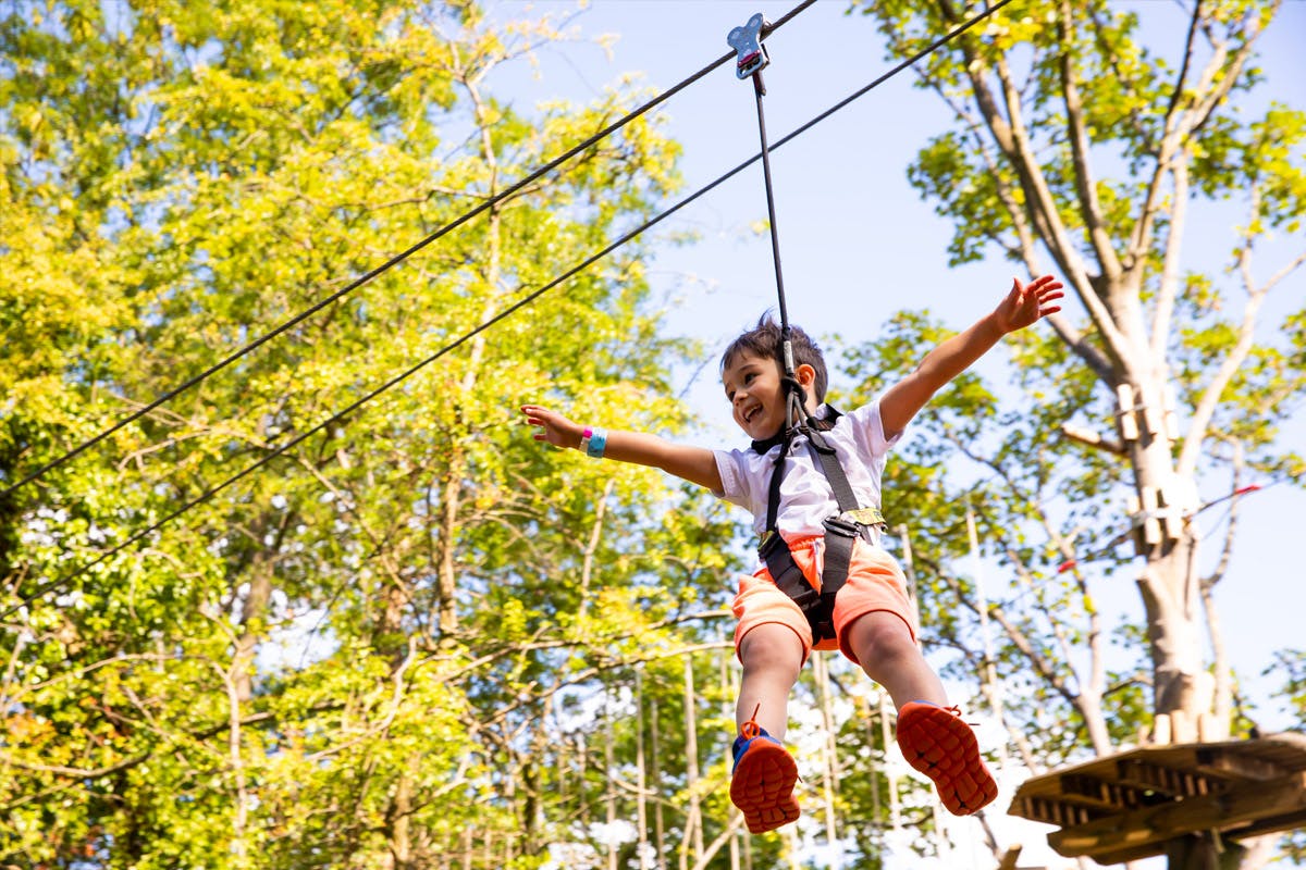 Junior Tree Top Adventure For One With Go Ape
