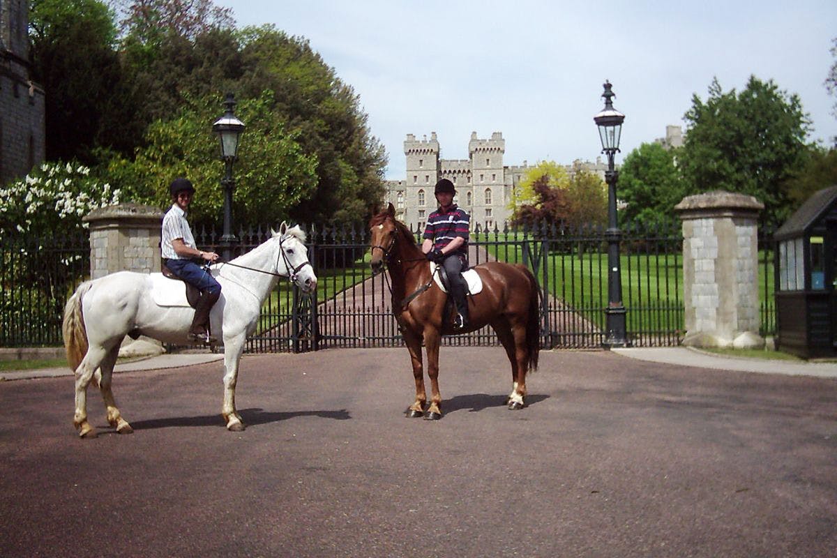 Horse experience