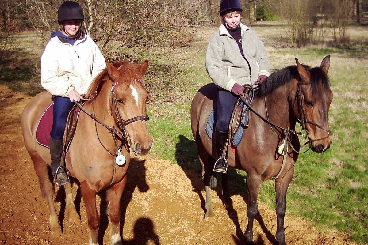 One Hour Horse Riding Lesson for One Adult and One Child in Windsor Great Park