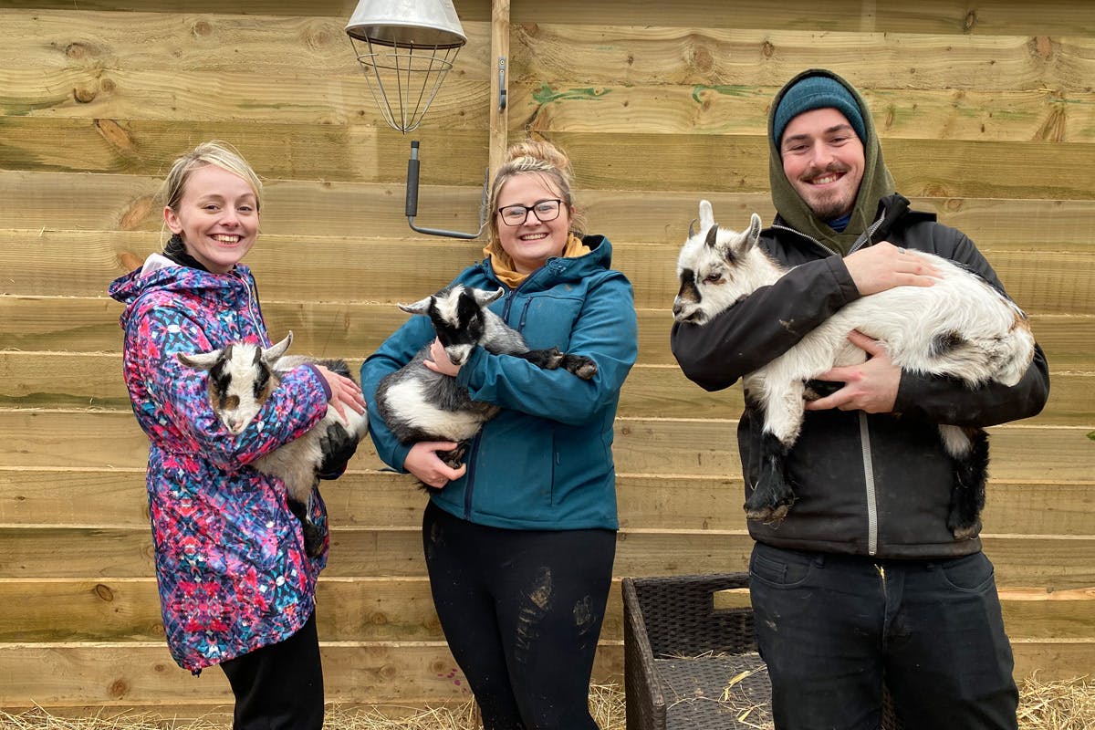 Pygmy Goat Experience for Two logo