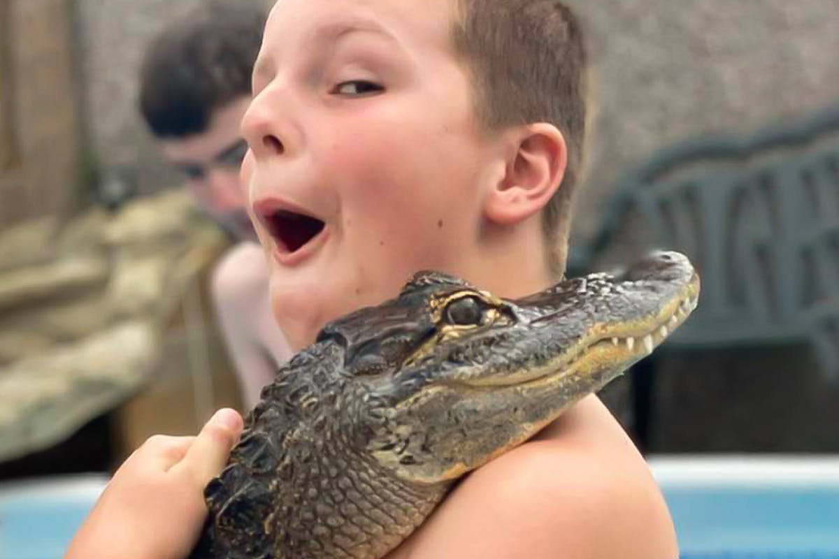 Swimming with Crocodiles for Two