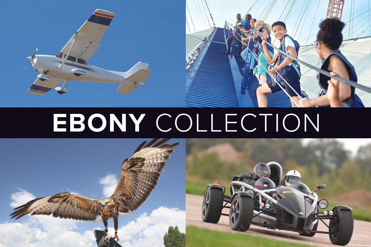 The Ebony Collection