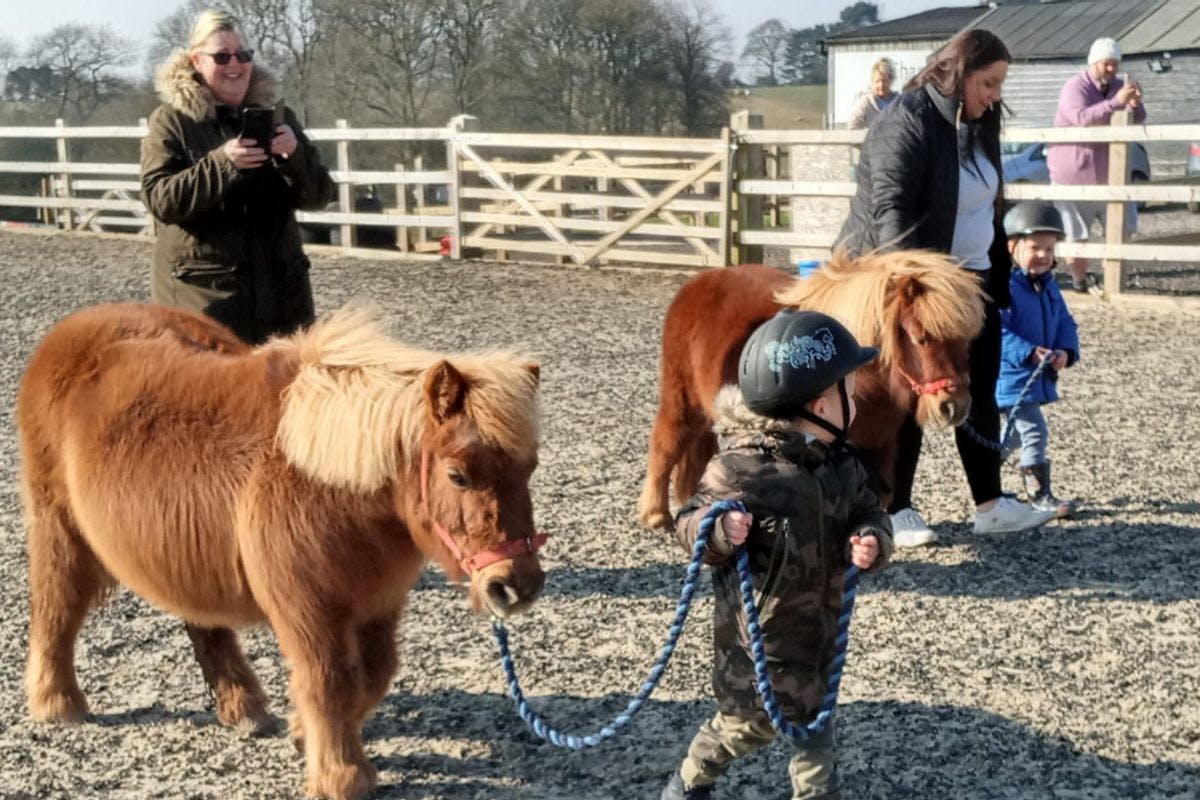 Trot On Tots Shetland Pony Experience at Charnwood Forest