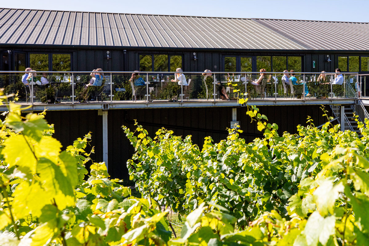 Vineyard Tour, Wine Tasting And Lunch For Two At Bolney Wine Estate