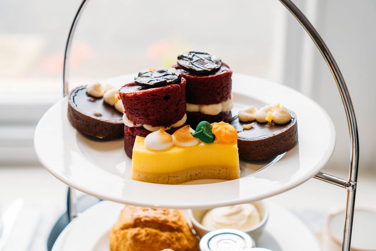 Visit to Kew Gardens with Prosecco Afternoon Tea at The Botanical for Two