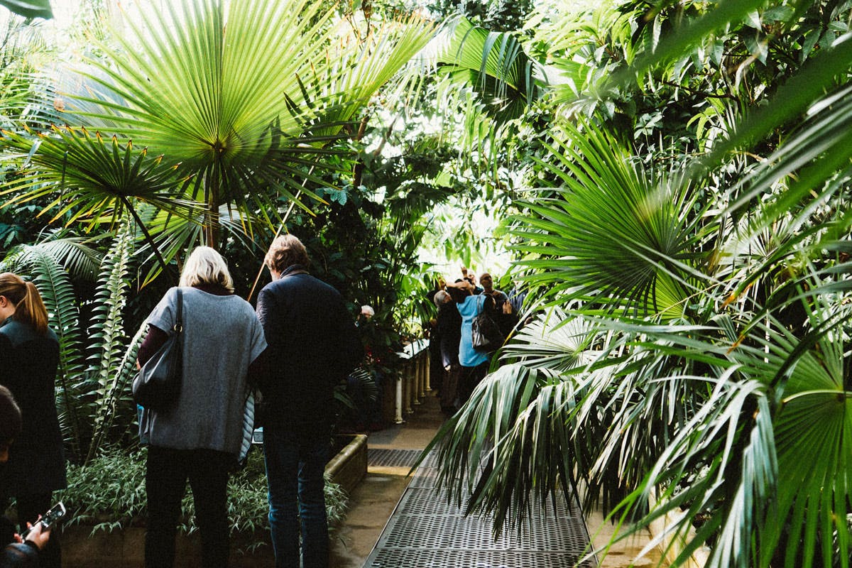 Visit to Kew Gardens with Prosecco Afternoon Tea at The Botanical for Two