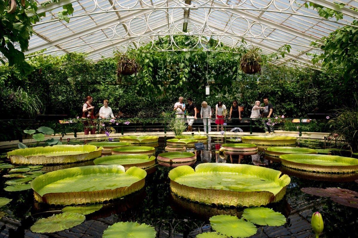 Visit To Kew Gardens With Thames River Cruise From Central London For Two