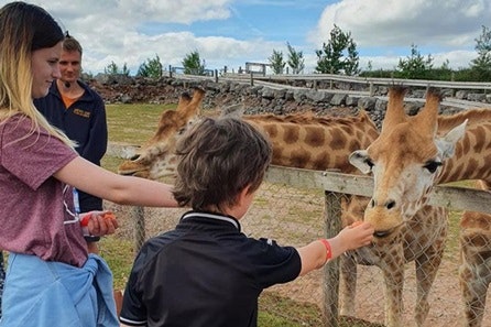 Africa Keeper for a Day for Two at South Lakes Safari Zoo