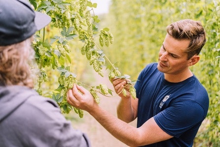 Craft Beer Tasting and Tour of Hukins Hops Farm for Two
