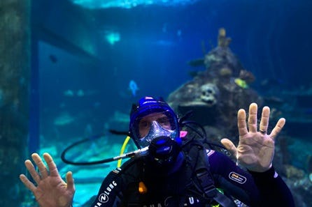 Dive with Sharks at Skegness Aquarium