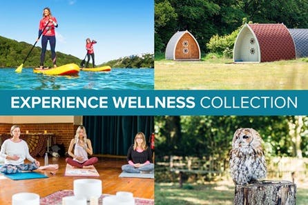 Experience Wellness