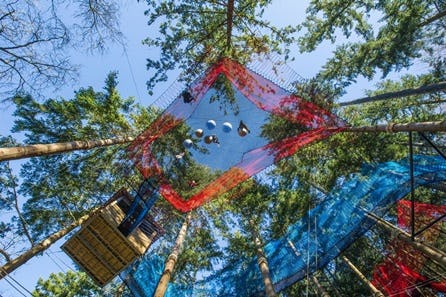 Fforest Coaster and Treetop Nets Experience for Two