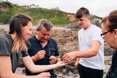 Foraging, Cookery and Lunch for Up to Six People with Totally Wild