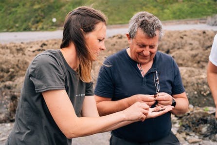 Foraging, Cookery and Lunch with Totally Wild