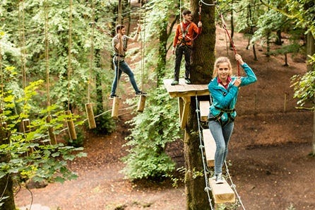 Full High Ropes Treetop Zip Trek and Nets Experience for Two