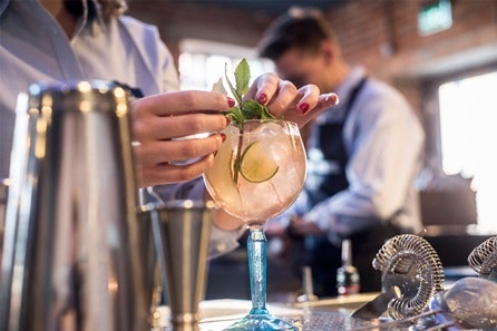 Gin Cocktail Masterclass and Guided Discovery Tour at Bombay Sapphire Distillery