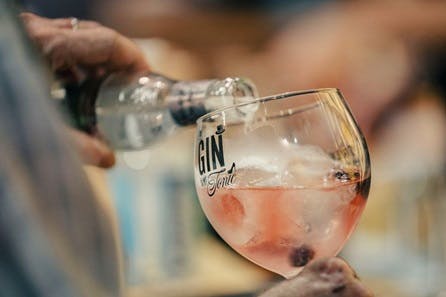 Glasgow The Gin To My Tonic Show for Two: The Ultimate Gin Festival