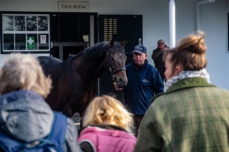 Horse Racing Lover's Experience with Behind the Scenes Half Day Guided Tour at Newmarket for Two