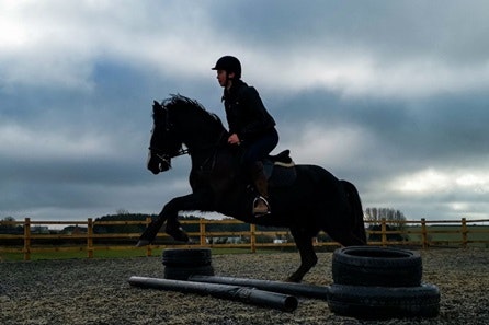 Horse Riding Lessons for Two at Charnwood Forest Alpacas
