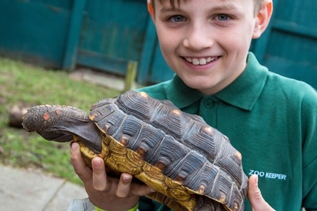 Junior Half Day Keeper Experience with Day Admission for Two at Hoo Farm Animal Kingdom