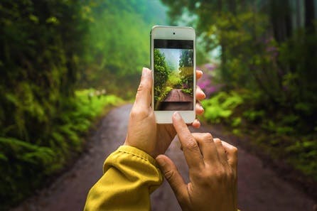 Learn How to Photograph on Your Smart Phone Four Week Online Course