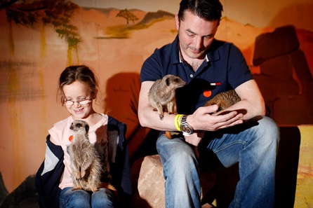 Animal Experiences You'll Love - Virgin Experience Days