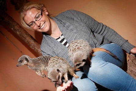 Meerkat Encounter with Day Admission for Two at Hoo Farm Animal Kingdom