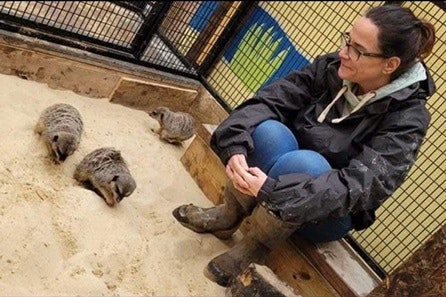 Meerkat Experience for Two at Middle England Farm