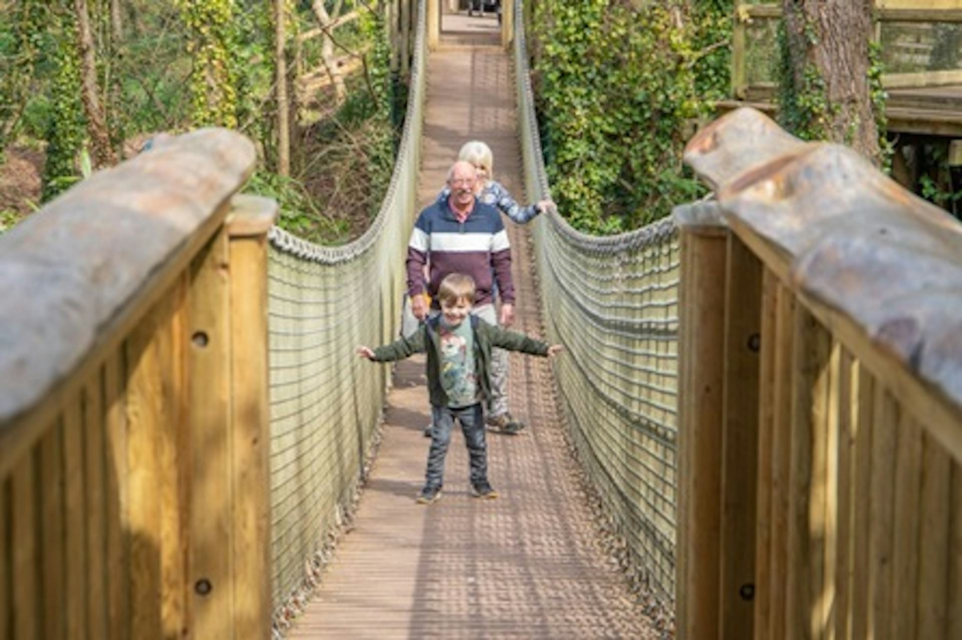 Meet and Feed the Giraffes with Entry Ticket to Paignton Zoo - Virgin