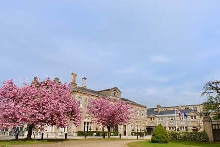 One Night Break in an Executive Room for Two at the Down Hall Hotel & Spa