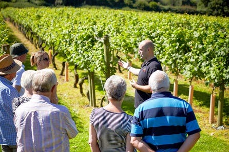 One Night Countryside Break with Vineyard Tour and Wine Tasting at Chapel Down Winery for Two