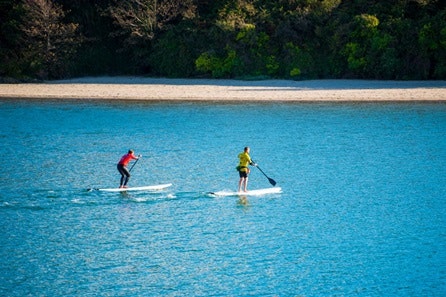 Stand-Up Paddleboard Lesson and Tour of Newquay Coastline for Two