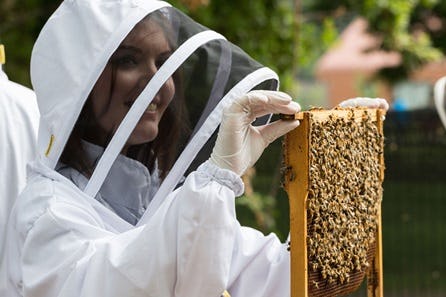 Rural Beekeeping and Honey Craft Beer Tasting