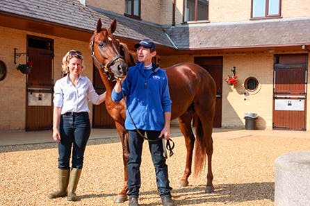 Thoroughbred Racehorse Training - Behind the Scenes Private VIP Experience