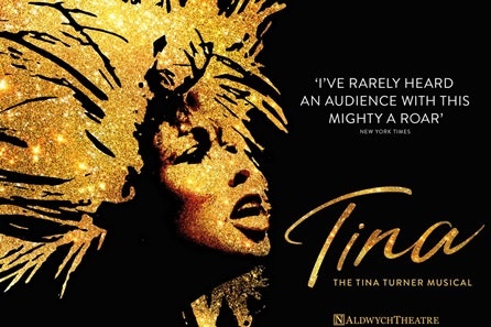 TINA - The Tina Turner Musical Theatre Tickets and Two Course Meal at The Delaunay for Two