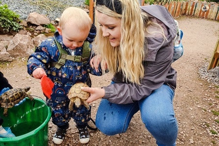 Tortoise Animal Encounter with Day Admission at South Lakes Safari Zoo