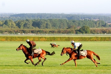 Ultimate Horse Racing Lover's Experience with Behind the Scenes Full Day Guided Tour for Two at Newmarket