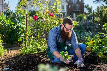 Urban Gardening Five Part Online Course