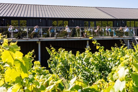 Vineyard Tour, Wine Tasting and Lunch for Two at Bolney Wine Estate