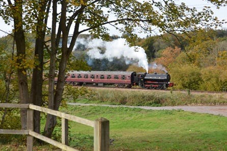 Vintage Steam Train Trip and Traditional Sunday Lunch with Wine for Four
