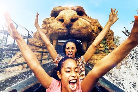 Visit to Chessington World of Adventures for Two Adults & One Child - Peak