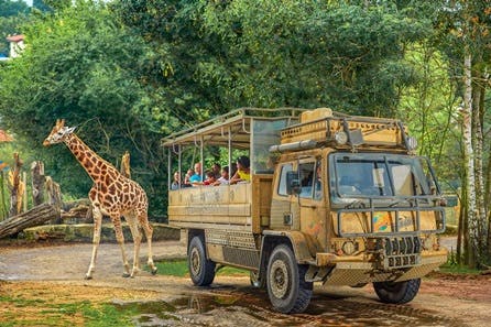 Visit to Chessington World of Adventures for Two Adults & One Child - Peak